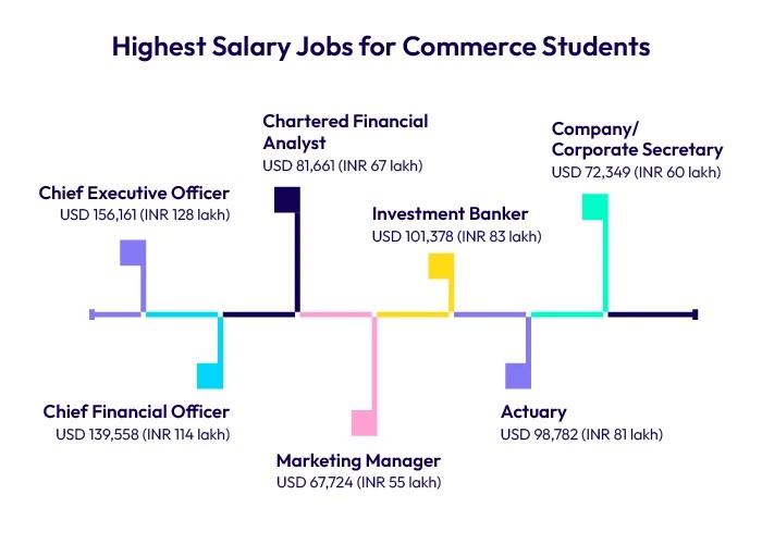 Highest Salary Jobs for Commerce Students