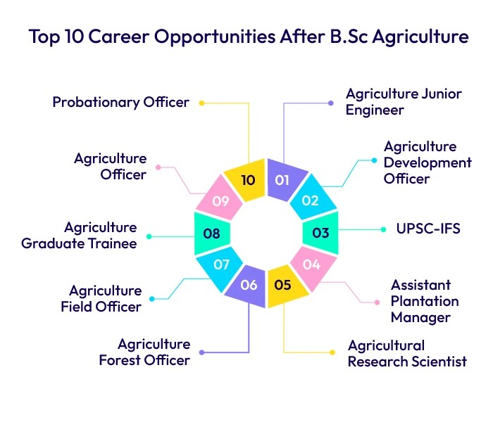 Top 10 Career Opportunities After B.Sc Agriculture