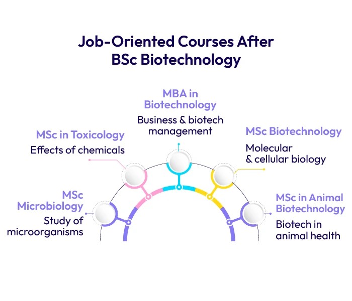 Job-Oriented Courses after BSc Biotechnology